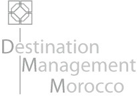 DMC-Logo